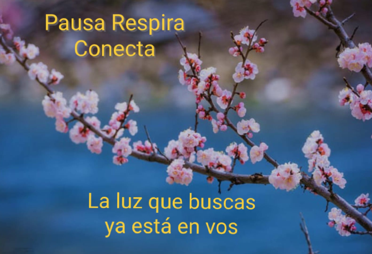 Hikari - Espacio de Shiatsu Zen. Tu pausa, tu luz, tu equilibrio